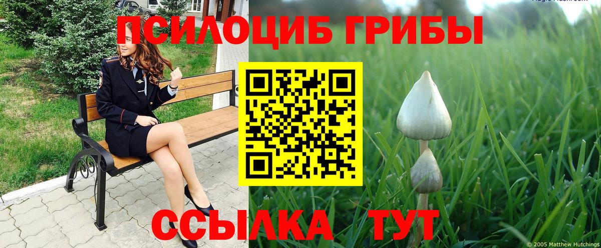 Псилоцибиновые грибы MAGIC MUSHROOMS Медногорск