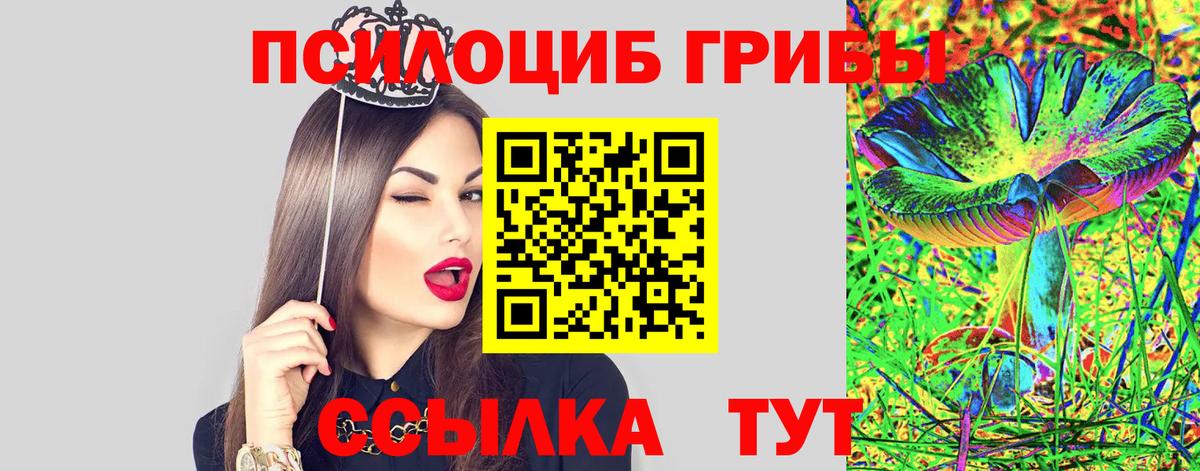 дарнет шоп  Галлюциногенные грибы ЛСД  Вход с VPN  Медногорск 